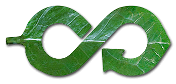 graphic showing leaf as arrow representing circular economy